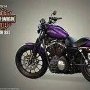 Meet your Posher, Franklin